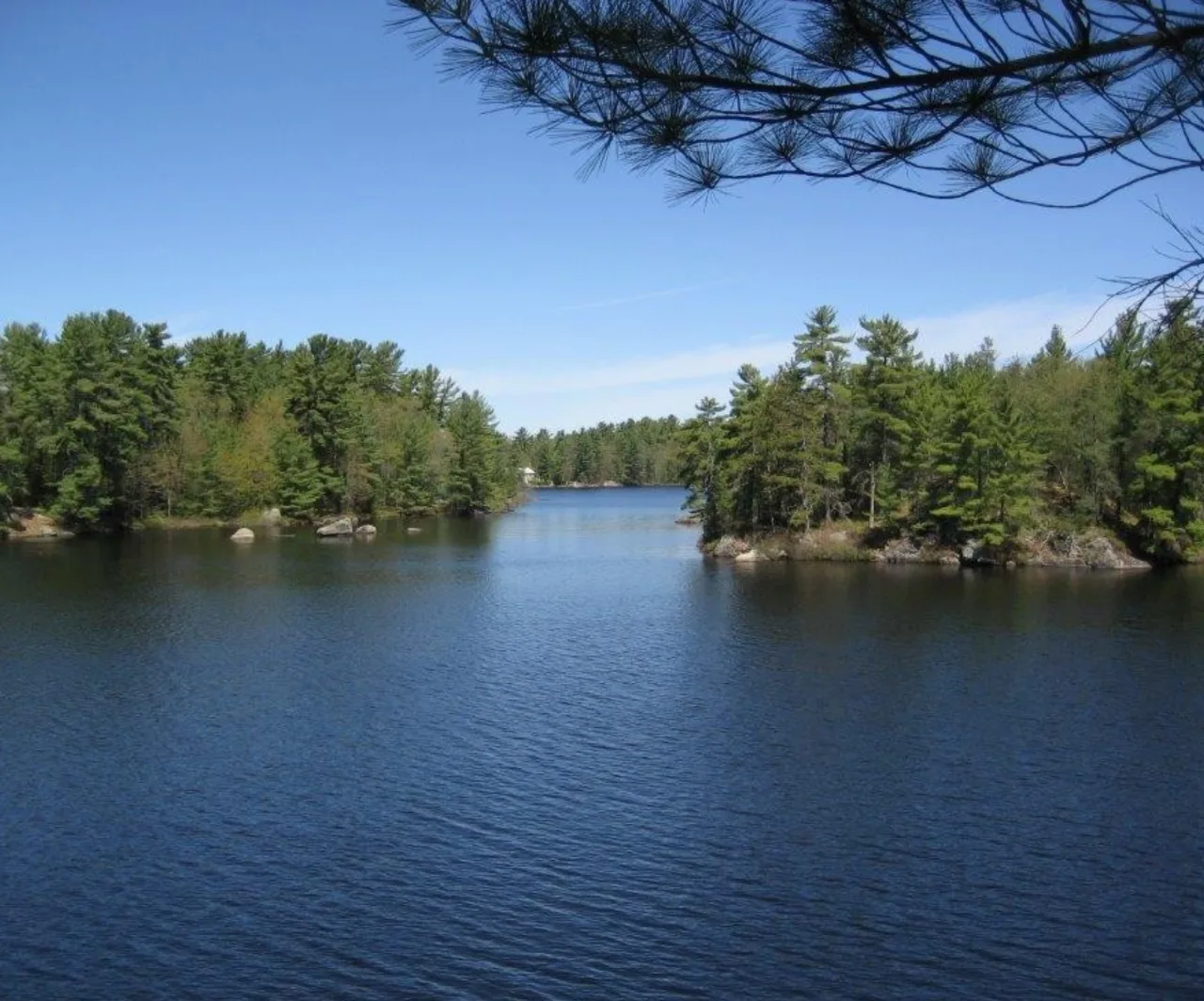 Shore Road Allowance Guide