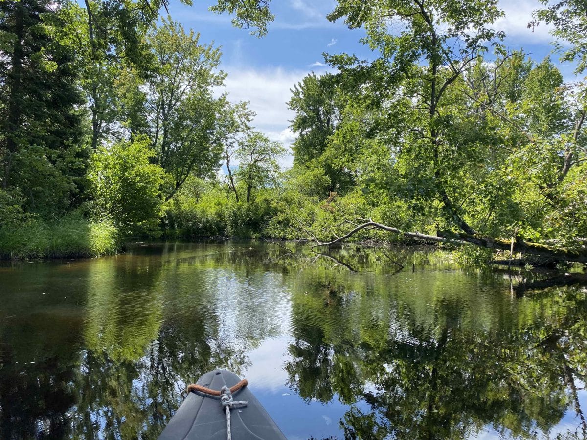 Canoe on the Distress River, Magnetawan