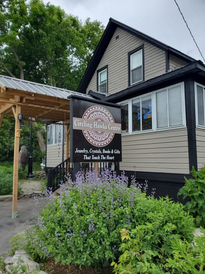 1488340049745750370 Circling Hawks Center Burks Falls