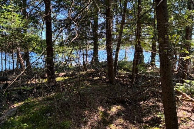 IMG_0407 Well treed lot on Ahmic Lake for sale