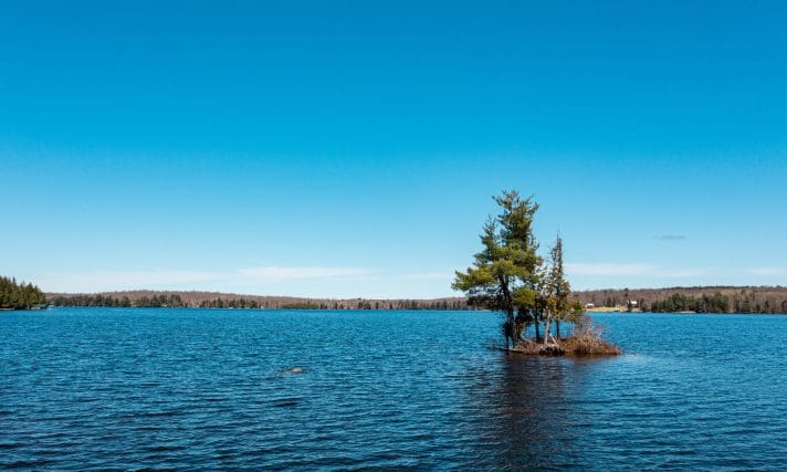 Lot 2 - MLS Ready - TeczrMedia-34 Island on Ahmic Lake, Magnetawan